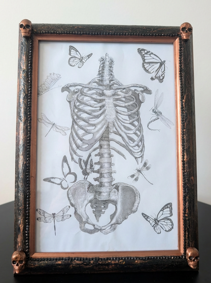 Gothic Inspired A4 12" x 8" Picture Frame Art Display Distressed Black and Copper With Skulls Home Decor Gift