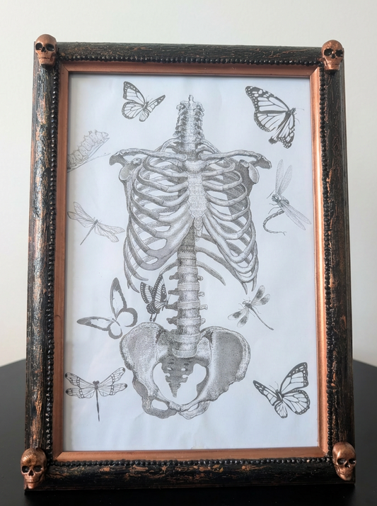 Gothic Inspired A4 12" x 8" Picture Frame Art Display Distressed Black and Copper With Skulls Home Decor Gift