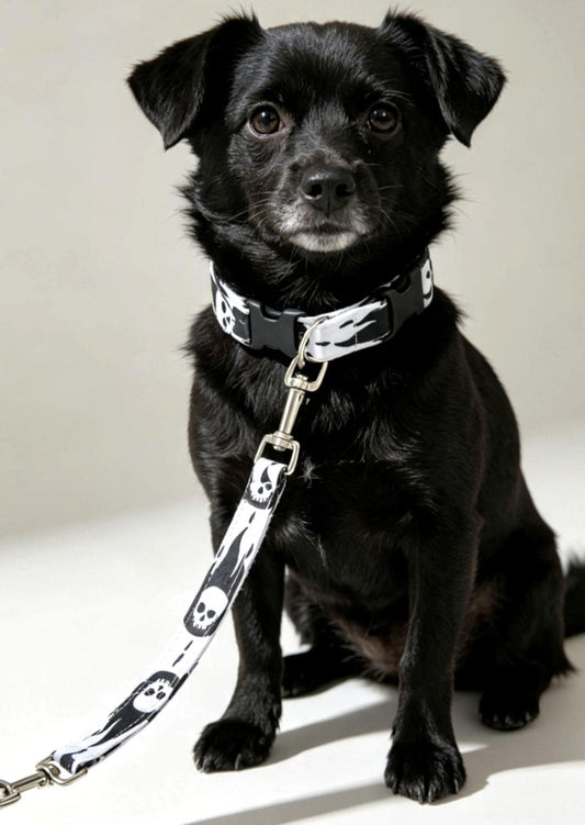 Black White Skulls & Stars Dog Collar And Lead Set - Medium - Matching Leash Set - Oh My Gothness