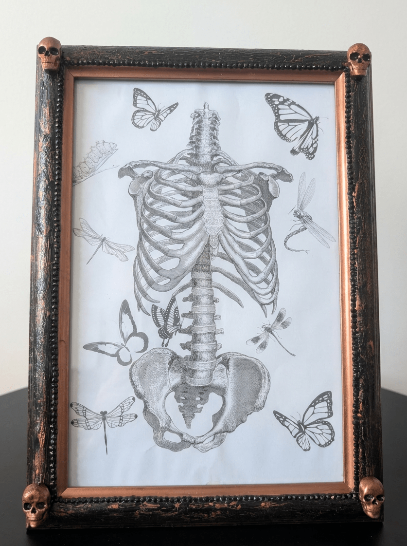 Gothic Inspired A4 12" x 8" Picture Frame Art Display Distressed Black and Copper With Skulls Home Decor Gift - Oh My Gothness
