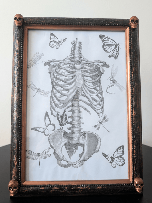 Gothic Inspired A4 12" x 8" Picture Frame Art Display Distressed Black and Copper With Skulls Home Decor Gift - Oh My Gothness