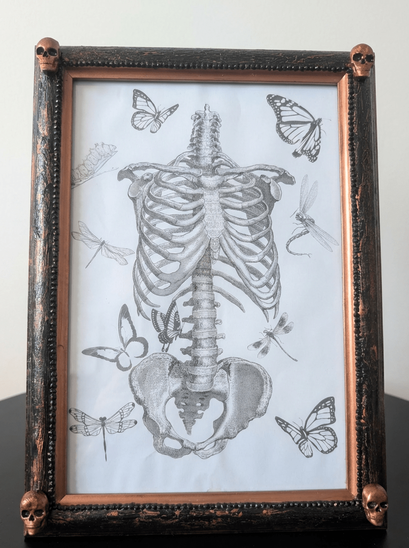Gothic Inspired A4 12" x 8" Picture Frame Art Display Distressed Black and Copper With Skulls Home Decor Gift - Oh My Gothness