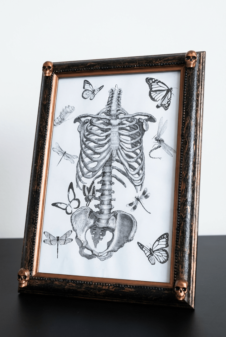 Gothic Inspired A4 12" x 8" Picture Frame Art Display Distressed Black and Copper With Skulls Home Decor Gift - Oh My Gothness