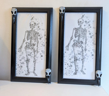 Gothic Wall Hanging Photo Frames with Crow Skulls, Creepy Home Decor