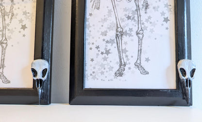 Gothic Wall Hanging Photo Frames with Crow Skulls, Creepy Home Decor