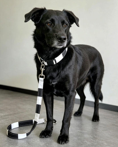 Black White Stripey Dog Collar & Lead Set - Medium -  Matching Leash Set