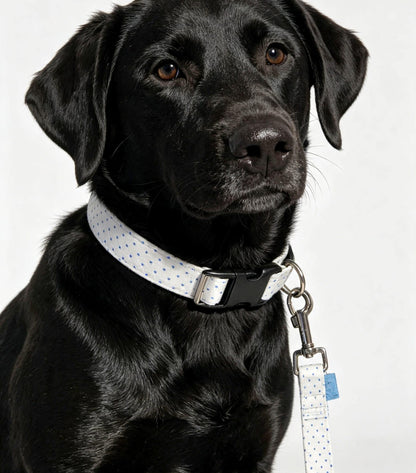 Blue White Polka Dot Dog Collar And Lead Set - Medium -  Matching Leash Set