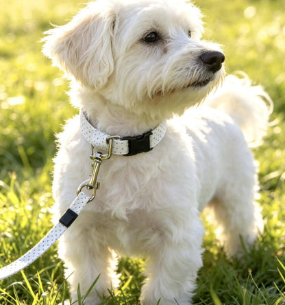 Blue White Polka Dot Dog Collar And Lead Set - Medium -  Matching Leash Set