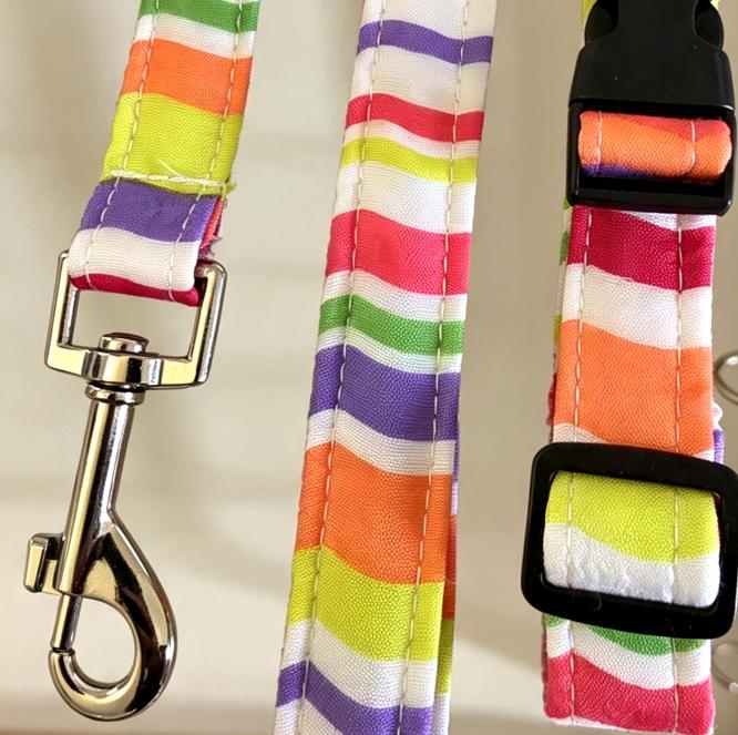 Rainbow Pride Dog Collar And Lead Set - Medium -  Matching Leash Set