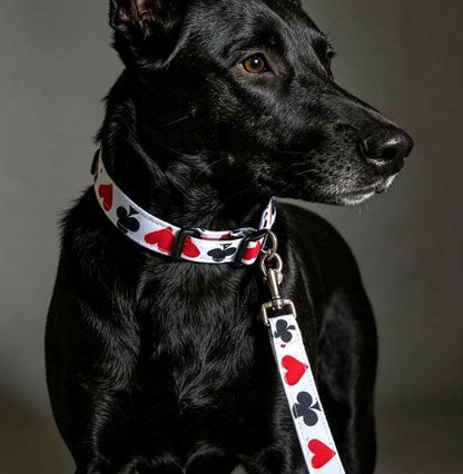 Hearts Diamonds Cubs Cards Dog Collar And Lead Set - Medium -  Matching Leash Set