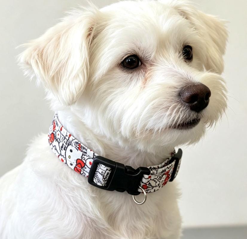 Cute Kitty Cat Dog Collar - Medium - Red White Black