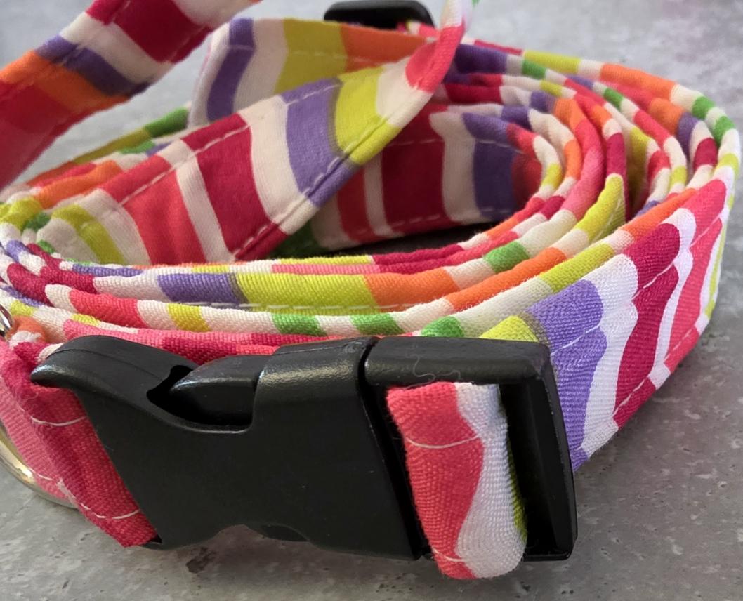 Rainbow Pride Dog Collar And Lead Set - Medium -  Matching Leash Set