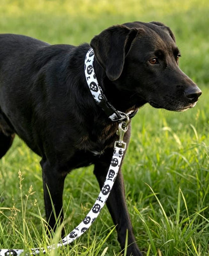 Black White Skulls Dog Collar And Lead Set - Medium -  Matching Leash Set - Gothic
